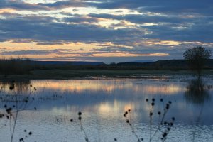 Sunset at Bosque del Apache NWR