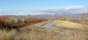 Tour loop view Bosque del Apache NWR