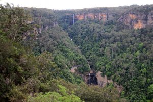 Fitzroy Falls ~ Morton National Park