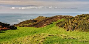 Lundy View