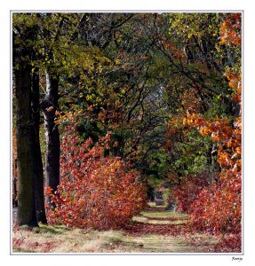 November in Belgium