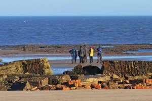 seawatching