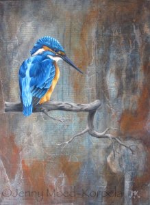 Kingfisher from Xianmen