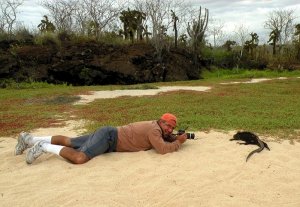 Marine Iguana and Me