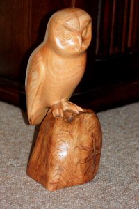 Tawny Owl - woodcarving