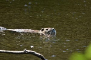 keeping cool