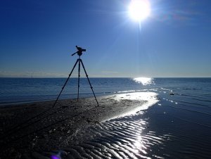 The Loneliness of the Long-distance Watcher