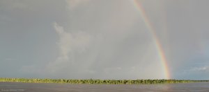 Amazon Rainbow
