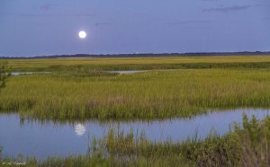 Jekyll Island Moon