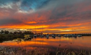 Umatilla Marina Sunset