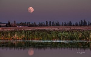 Lake Road Moon