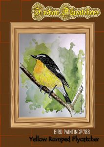 Yellow Rumped Flycatchers