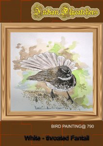 White throated fantail