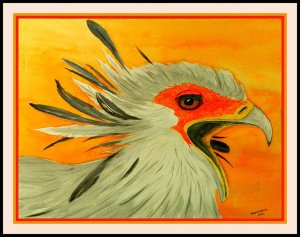 Secretary Bird #2. 11x14, watercolor & pencil, aug 16, 2016.