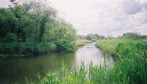 Backwaters