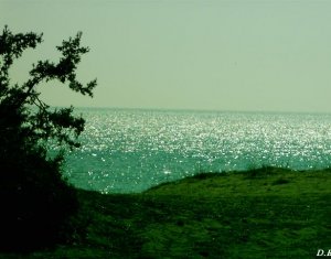 Sunlit Sea