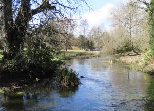 River Lambourne