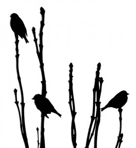 Greenfinch silhouettes