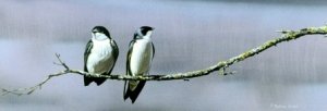 Tree Swallows (a painting)