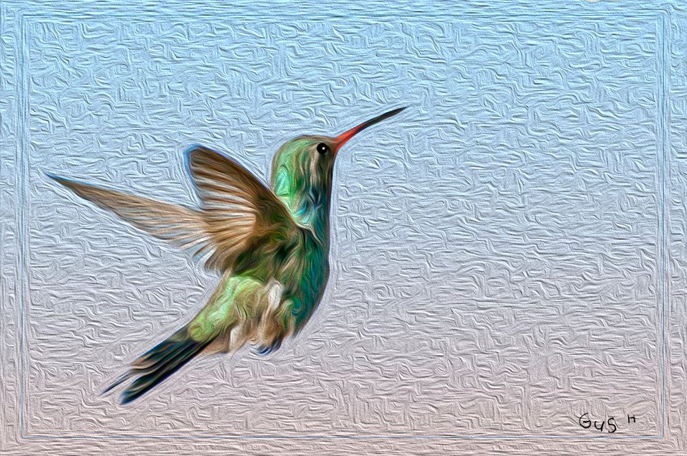 Anna's Hummingbird Oil Painting