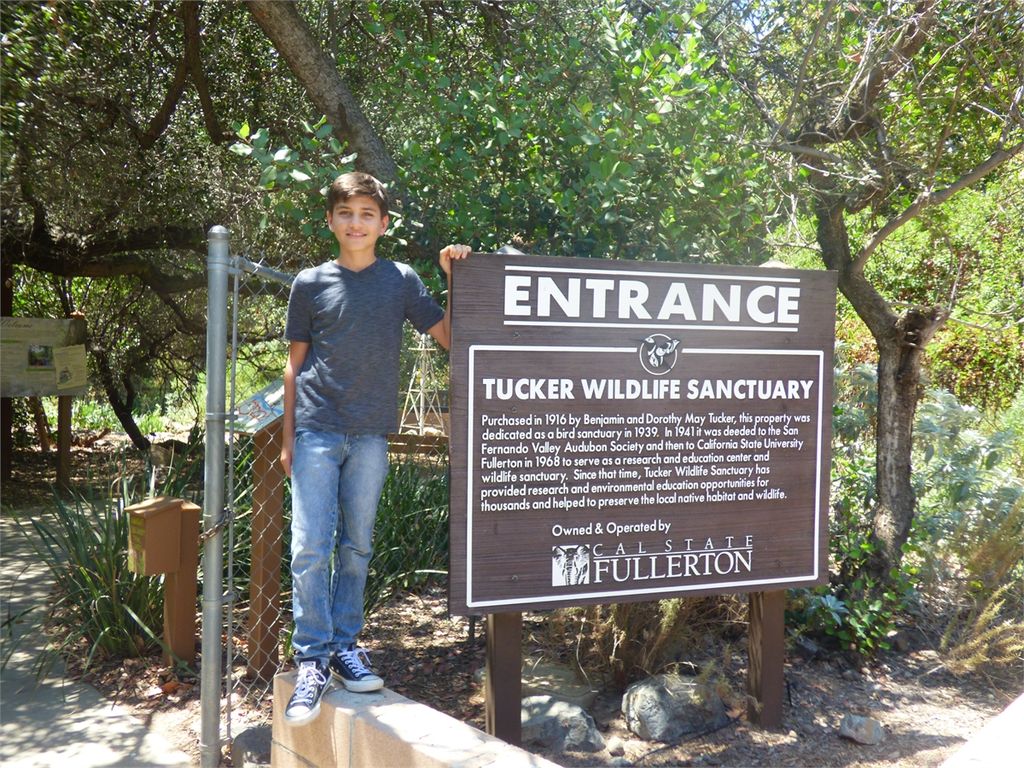 At the Tucker Wildlife Sanctuary