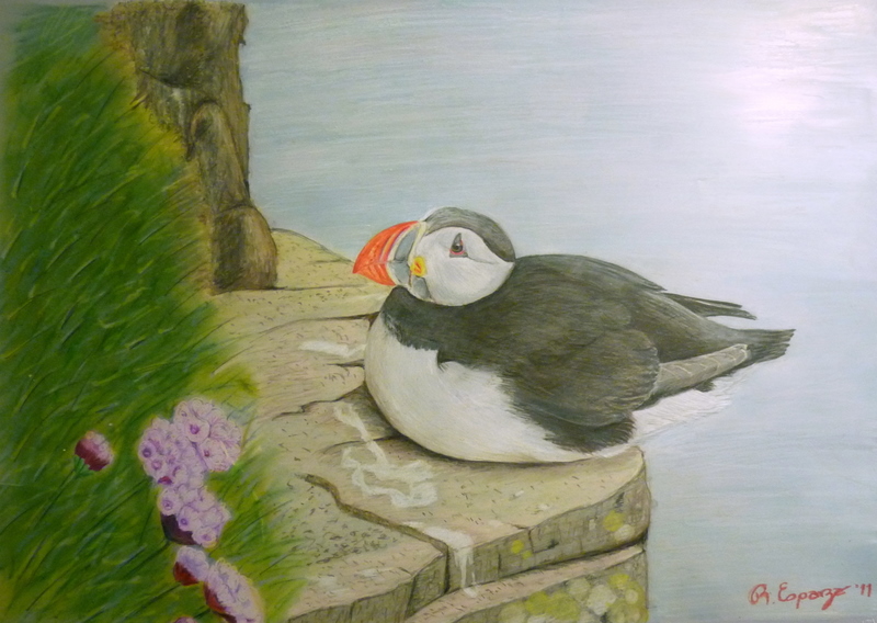 Atlantic Puffin