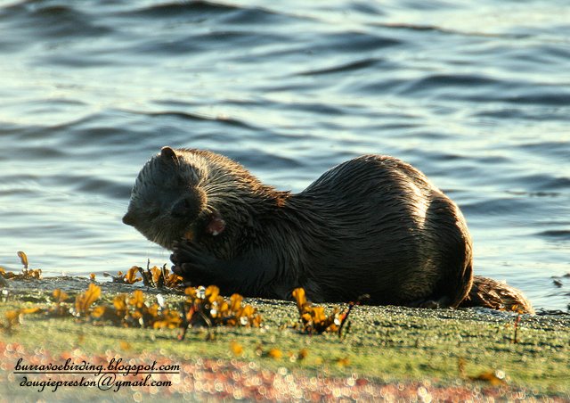 Breakfast on the beach!...