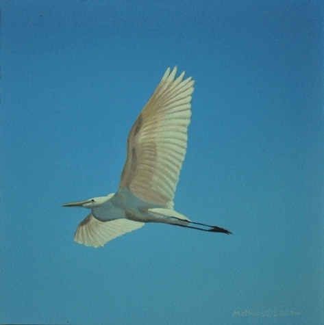 Egret