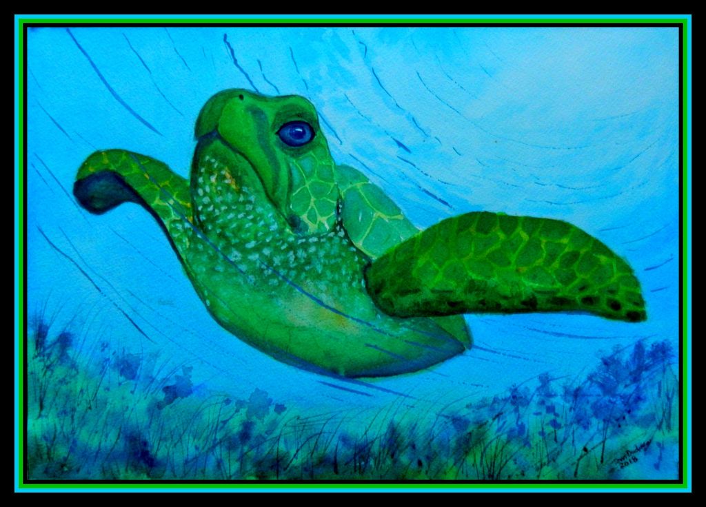 Green Sea Turtle, 10x14, gouache on paper, jan 18, 2018.