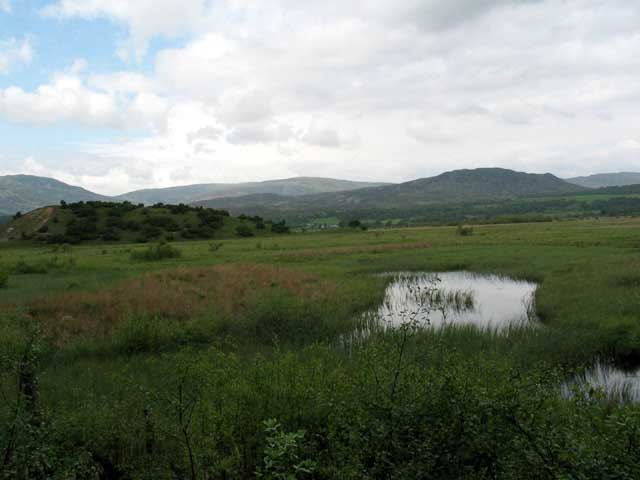 Insh Marshes