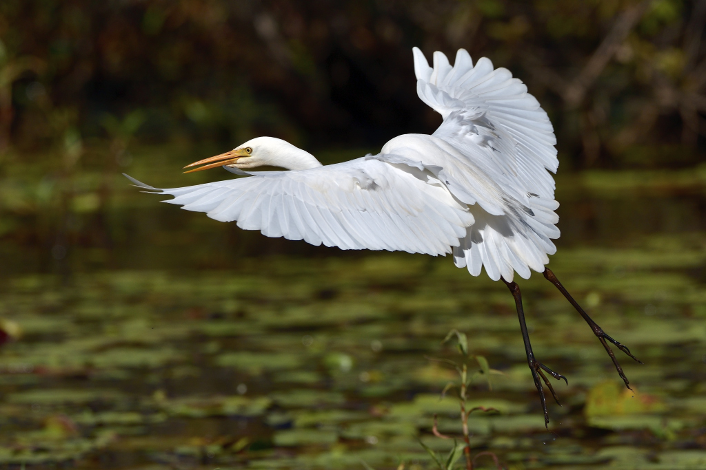 Intermediate Take Off