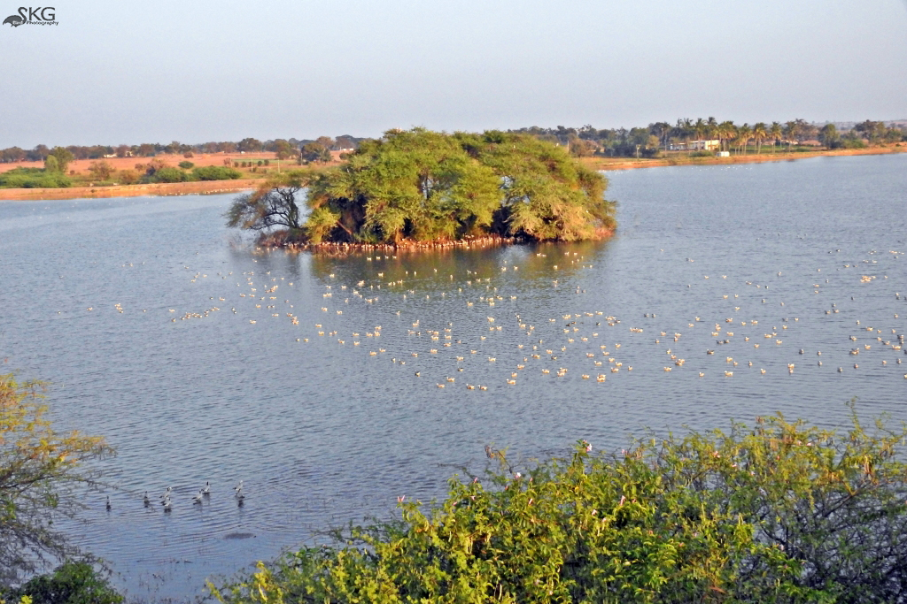 Magdi Lake