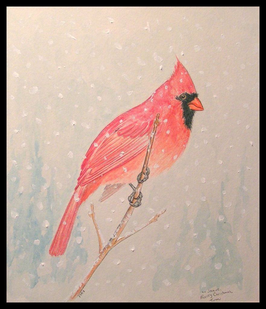 Northern Cardinal, watercolor, 8.5x10, 1983