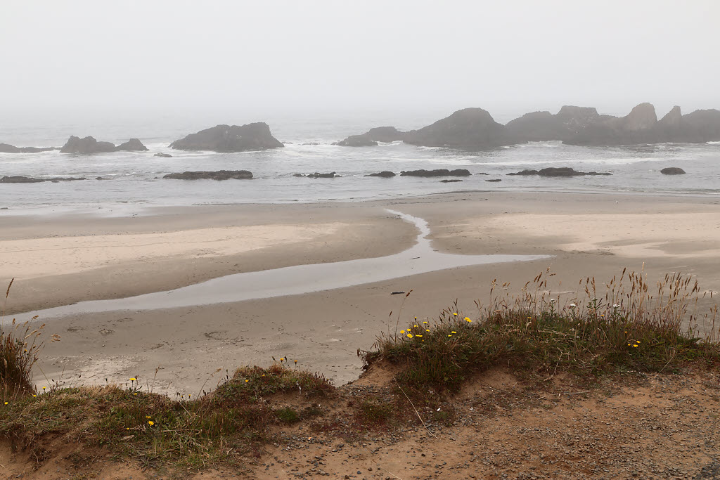 Rocks, Fog and Waves