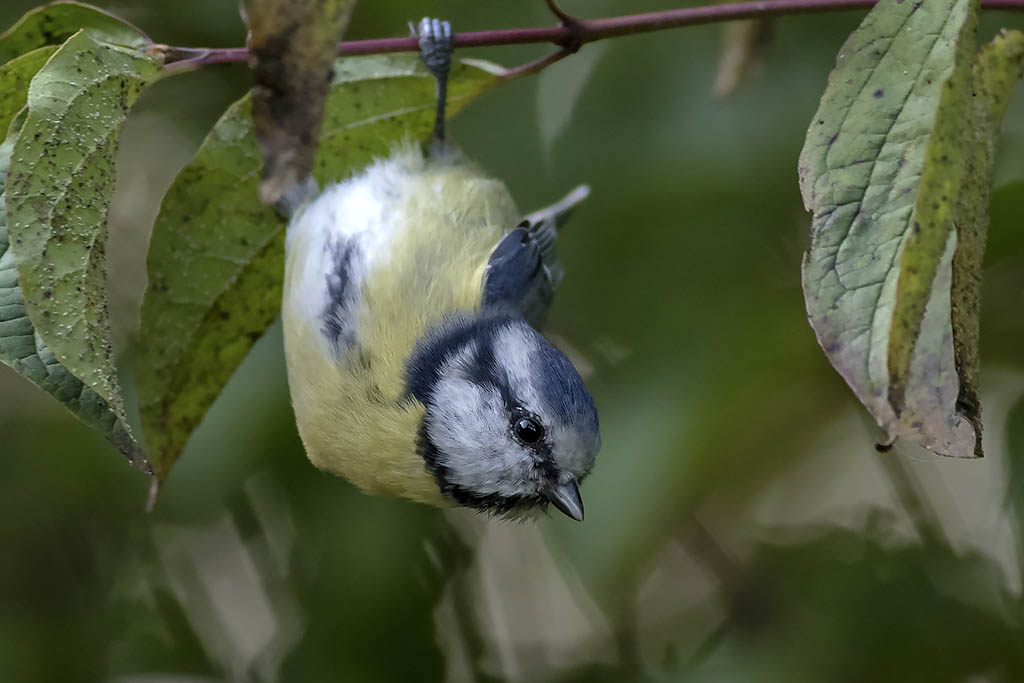 Saturday fun - Hanging Around