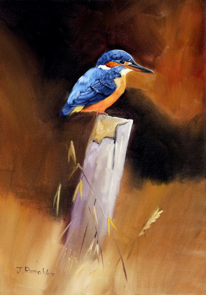 SMALL BLUE KING FISHER
