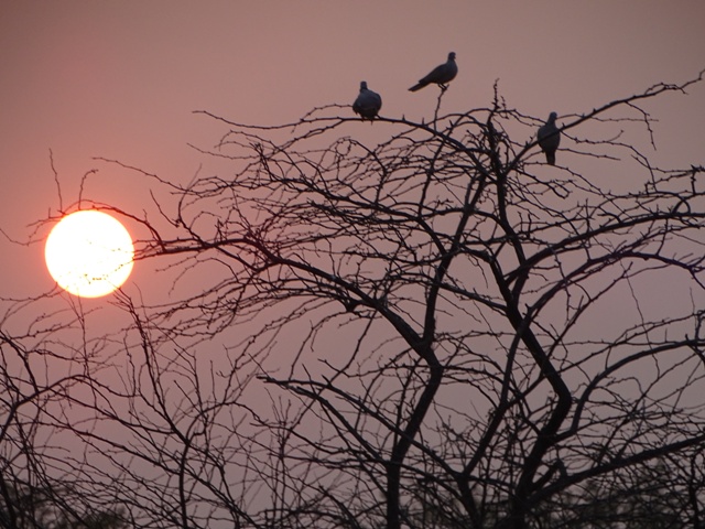 Sunset at Grassland