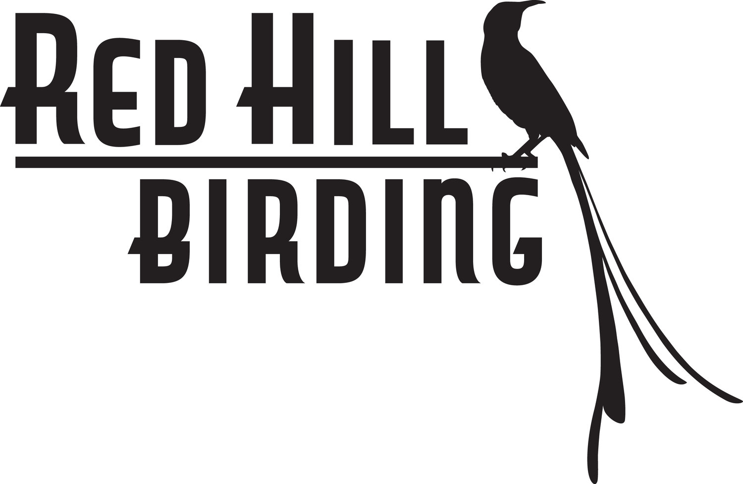 www.redhillbirding.com