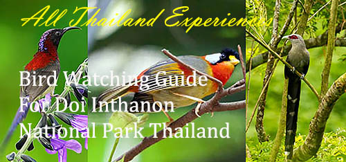 all-thailand-exp.com