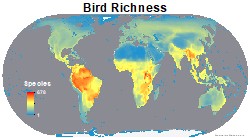 biodiversitymapping.org