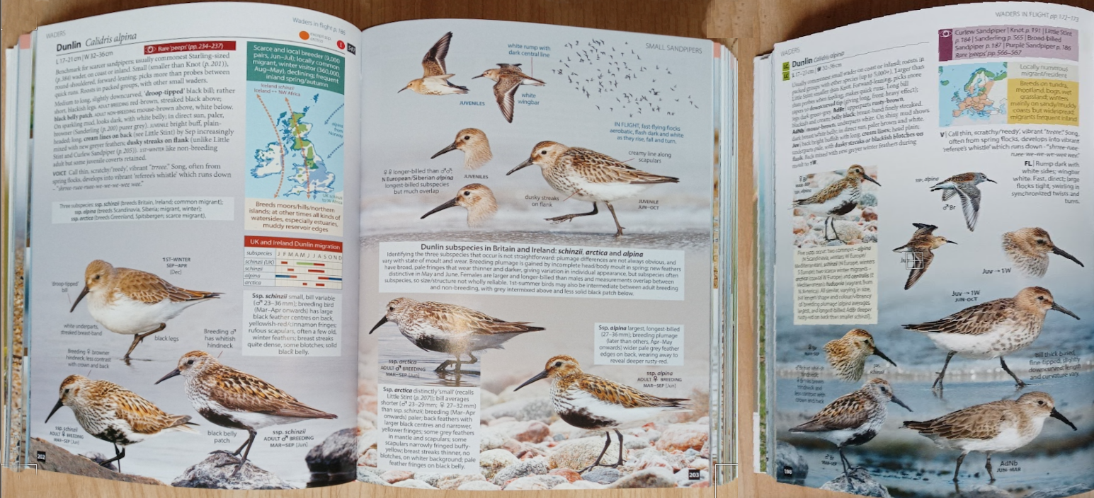 dunlin-plates-compared_orig.png