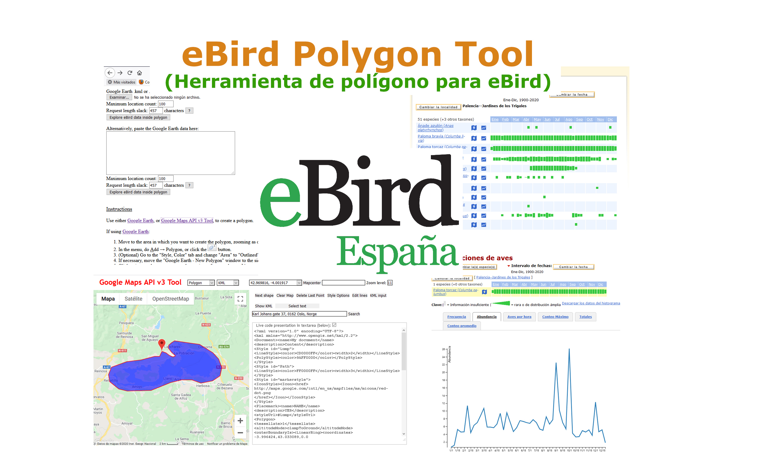 ebird.org