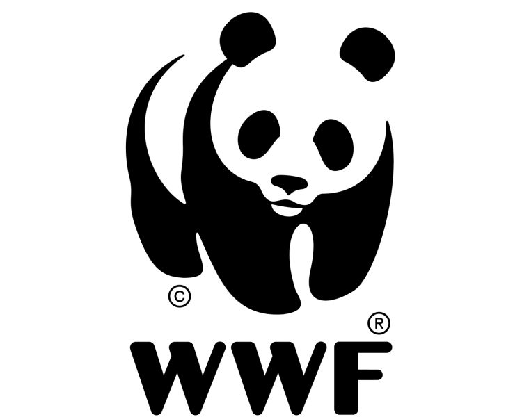 www.wwfindia.org