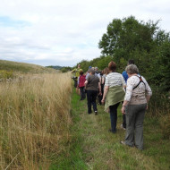 guided_walk_birdfair_5.jpg