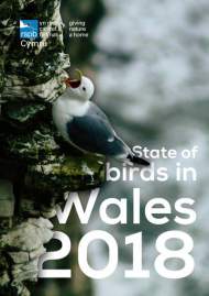 state-of-birds-wales-2018-cover.jpg