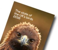 state-of-uk-birds-2016-cover-angled.jpg