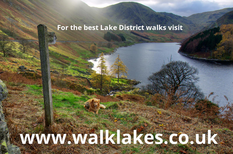 www.walklakes.co.uk