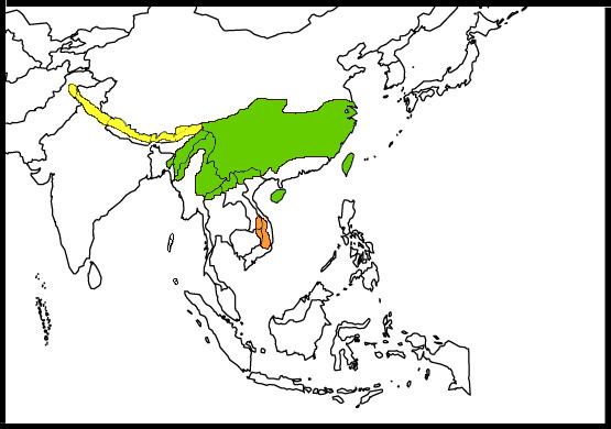 Map-Black-throated Tit.jpg