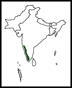 Map-WynaadLaughingthrush.png