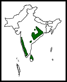 Map-MalabarPiedHornbill.png